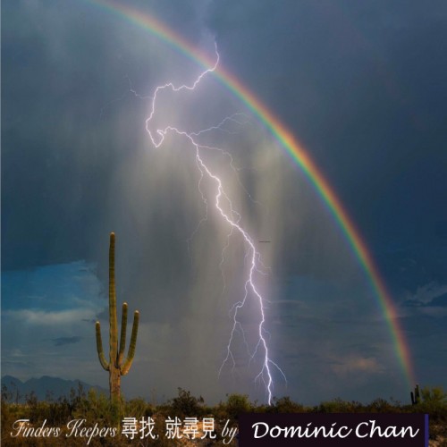 Finders Keepers - Dominic Chan(video)